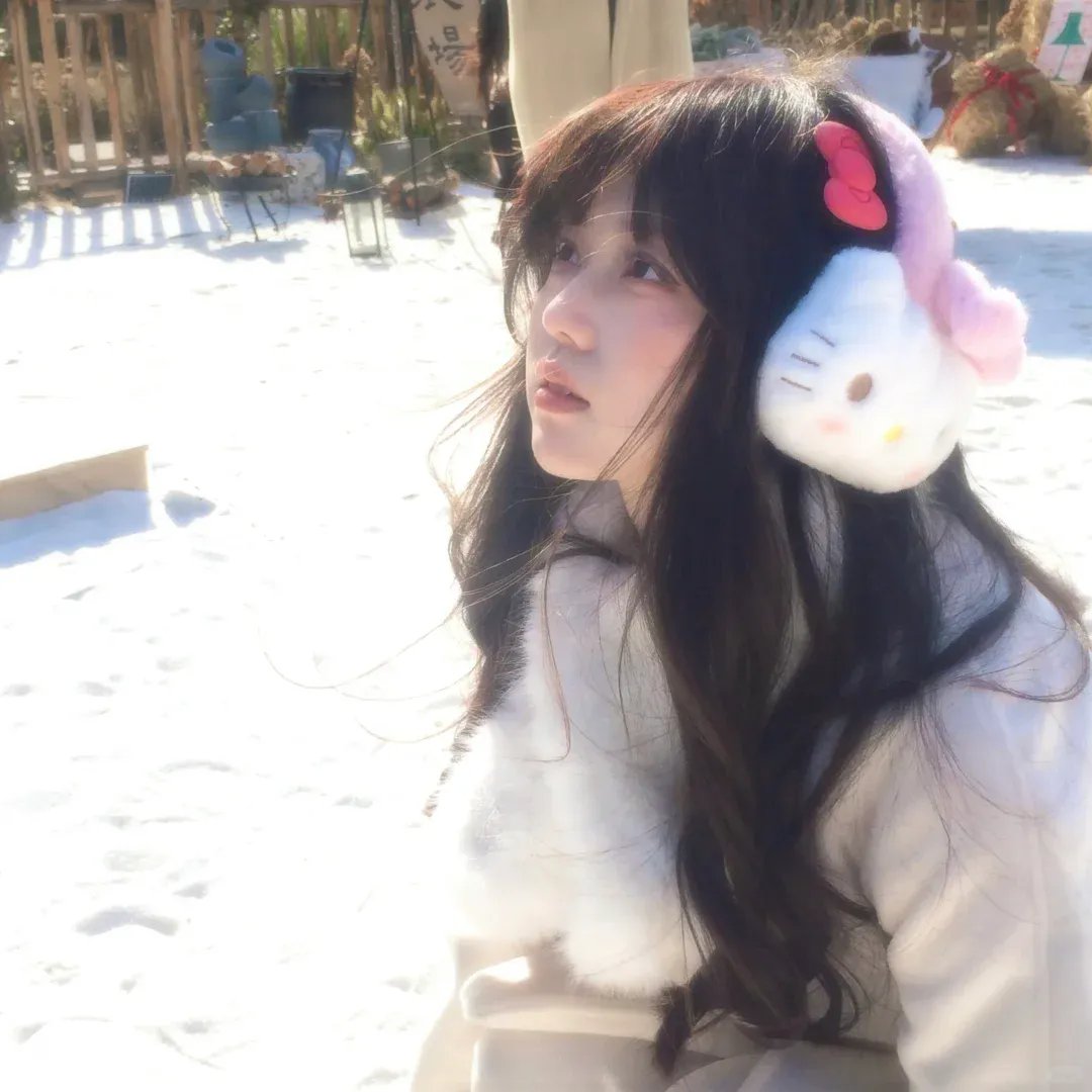 监察局长